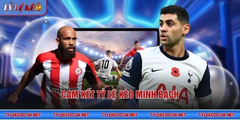 Cam kết tỷ lệ kèo minh bạch