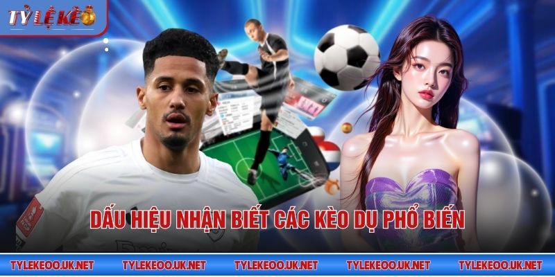 Dấu hiệu nhận biết các kèo dụ phổ biến